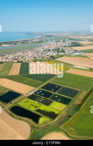 L'Aiguillon-sur-Mer : les champs cultivés Banque D'Images