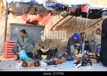 Poulets à vendre dans un marché traditionnel, wc séparés dans la ville de Fes, Maroc Banque D'Images