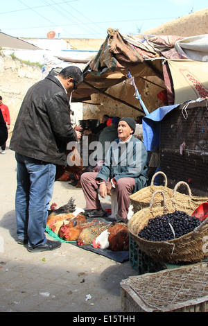 Poulets à vendre dans un marché traditionnel, wc séparés dans la ville de Fes, Maroc Banque D'Images