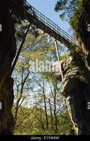 La Swiss Bridge, Hawkstone Park Follies, Weston-under-Redcastle, Shropshire Banque D'Images