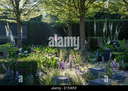 Chelsea Flower show gagnant du prix du public & médaille argent doré, l'espoir à l'horizon, le jardin Designer Matt Keightley Banque D'Images