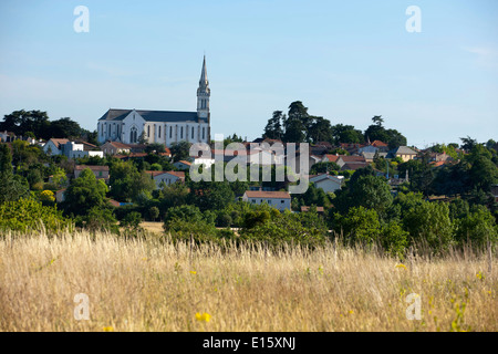 Vignobles dans les environs de Nantes Banque D'Images