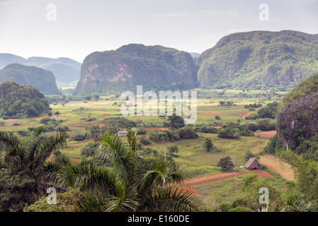 Mogotes en Vallée de Vinales à Cuba. La Vallée de Vinales a été sur la Liste du patrimoine mondial de l'UNESCO depuis novembre 1999 à titre de bien culturel Banque D'Images