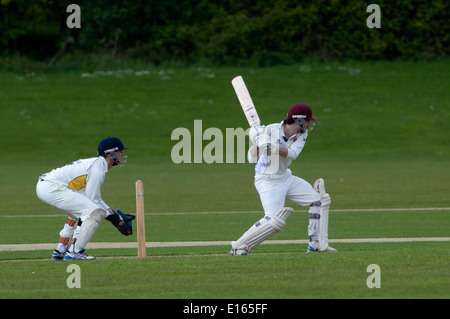 Le sport universitaire, men's cricket à l'Université de Warwick, England, UK Banque D'Images