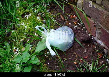 Sac en plastique du chien Poo, UK Banque D'Images