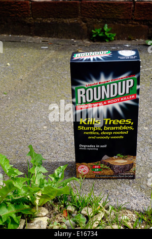 Souche d'arbre et la racine Roundup Herbicide Killer, UK Banque D'Images