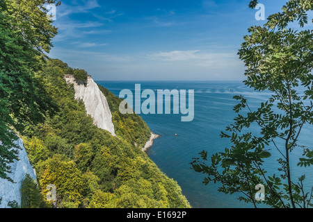 118 mètres de haut des falaises de craie Königsstuhl, parc national de Jasmund, Ruegen Island, Mecklembourg-Poméranie-Occidentale, Allemagne, Europe Banque D'Images