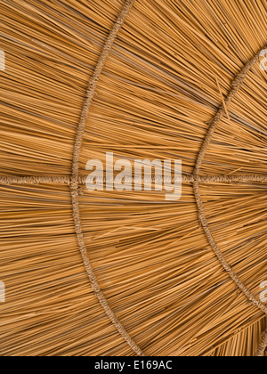 Close up detail d'une section de parapluie parasol de paille Banque D'Images