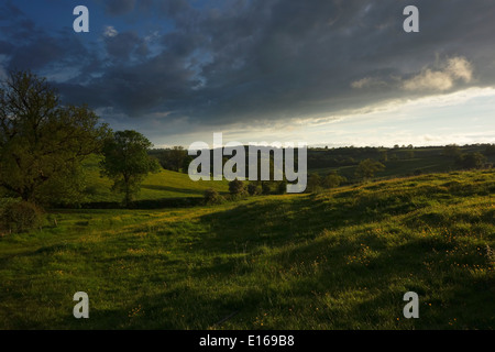 Campagne champs Leicestershire Rutland Banque D'Images