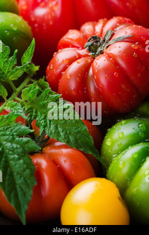 Les tomates rouges et verts frais Banque D'Images