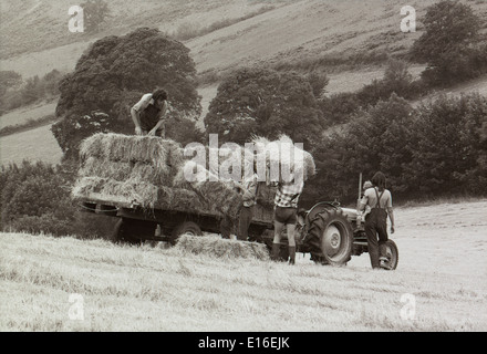 Les personnes qui font des balles de foin dans un champ avec un tracteur et remorque sur une commune rurale 'retour à la terre' Petite exploitation dans les années 1970 1977 Carmarthenshire pays de Galles KATHY DEWITT Banque D'Images