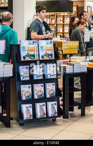 Kingston upon Thames, Londres, Angleterre, 24 mai, 2014. James Bowen et son célèbre Chat de gingembre, Bob, ont été submergés par des fans enthousiastes lors d'une séance de signature à la librairie Waterstones à Kingston-upon-Thames ce matin. James Bowen trouvés les malades, chat errant sur le pas de sa porte, en 2007. Il lui a fait boire, a reçu des soins médicaux pour lui. et a tenté de retracer le propriétaire du chat, mais a échoué. Les anciens sans-abri toxicomane et gros problème vendeur maintient que Bob lui a donné une raison de vivre et de changer de vie. Credit : Eden Breitz/Alamy Live News Banque D'Images