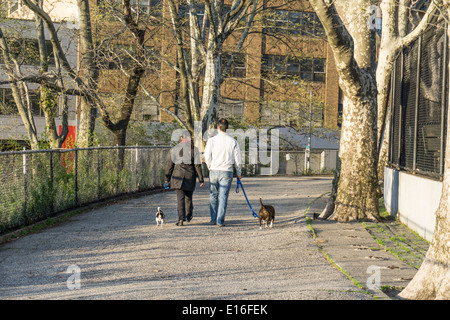 Jeune couple walking dogs sur sentier de gravier pour les froides soirée printanière dans DeWitt Clinton Park Manhattan Hells Kitchen Banque D'Images