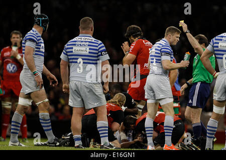 Cardiff, Pays de Galles. 24 mai, 2014. Arbitre envoie Juan Fern&# xc1;MÉNDEZ DE LOBBE RC Toulon à la sin bin durant la finale de la H Cup entre le RC Toulon et Saracens au Millennium Stadium. Credit : Action Plus Sport/Alamy Live News Banque D'Images