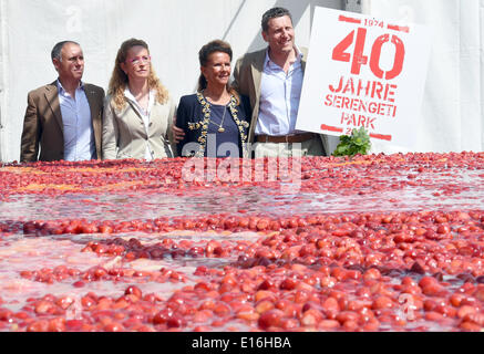 Les gestionnaires de la vie sauvage du parc Serengeti park Fabrizio Sepe, Lia Sepe, Veronica Trussardi-Sepe et Giovanni Sepe (R-L) se tenir en face d'un kilo 4353 gâteau de fruit sur l'occcasion du 40e anniversaire du parc. Selon le Livre Guiness des Records du monde, le gâteau est le plus grand gâteau de fruit du monde. Photo : HOLGER HOLLEMANN/dpa Banque D'Images