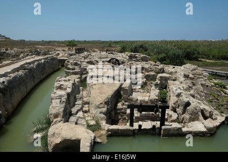 Nahal Taninim (Crocodile River), au sud de Ma'agan Michael en Israël Banque D'Images