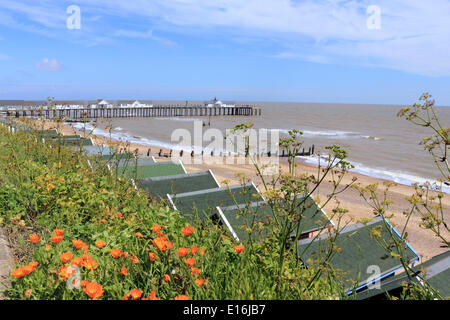 Southwold, Suffolk, Angleterre, Royaume-Uni. 24 mai 2014. Il s'agissait d'une lumineuse journée sur la côte du Suffolk au début de la Banque week-end de vacances. Jolies fleurs orange sont en fleurs le long du front de mer sur la plage des huttes et de la jetée. Banque D'Images