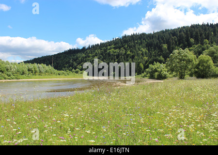 Beau paysage avec la vitesse de l'eau dans la rivière de montagne Banque D'Images