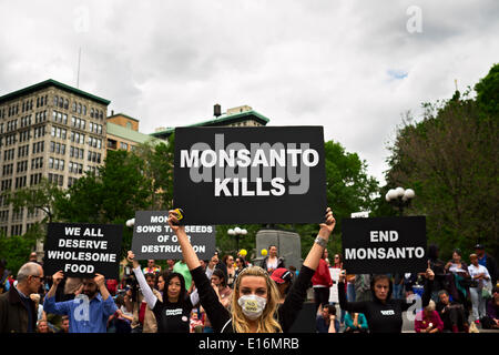 New York, NY, US, le 24 mai 2014 : Femme en costume d'abeille holding sign reading 'Monsanto tue" à mars contre Monsanto à Union Square Crédit : Joseph Reid/Alamy Live News Banque D'Images