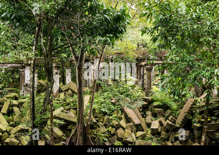 Ruines du temple de Beng Mealea zone d'Angkor, Siem Reap, Cambodge Banque D'Images