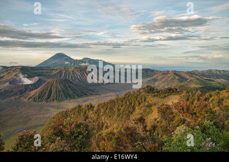 Le Mont Bromo et le Parc National de Bromo Tengger au lever du soleil, de l'Est de Java, Indonésie Banque D'Images