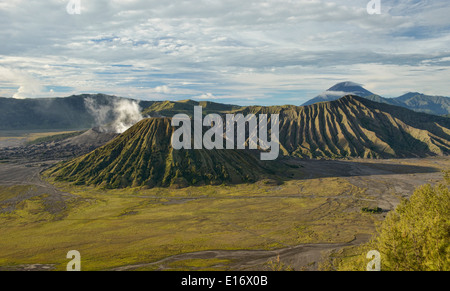 Le Mont Bromo et le Parc National de Bromo Tengger dans la lumière du matin, l'Est de Java, Indonésie Banque D'Images