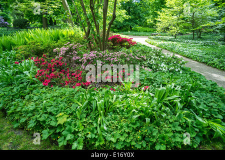 Jardin botanique au printemps Wroclaw Banque D'Images