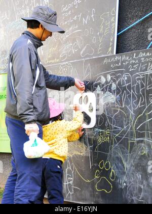 Wellington, Nouvelle-Zélande. 25 mai, 2014. Les gens jouent au zoo de Wellington sur la Journée Portes Ouvertes à Wellington, Nouvelle-Zélande, le 25 mai 2014. Credit : Su Liang/Xinhua/Alamy Live News Banque D'Images