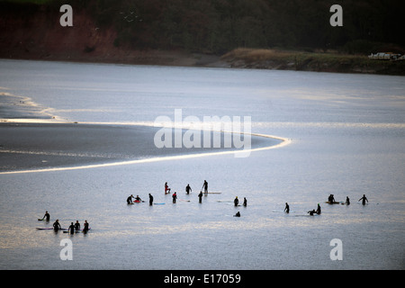 Les surfeurs attendant l'alésage du bras Severn à Newnham-on-Severn, Gloucestershire UK 2014 Banque D'Images