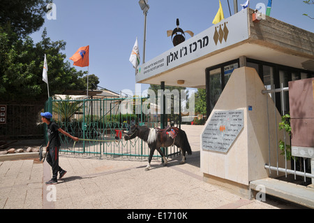 Le Musée de Joe Alon culture bédouine, Néguev, Israël Banque D'Images