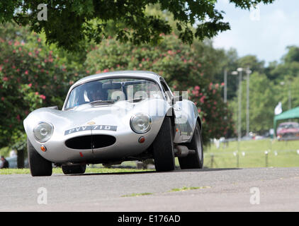 Londres, Royaume-Uni. 25 mai, 2014. Les concurrents à la 2014 Motor Sport au palais à Crystal Palace Park South London 25.05.2014 Crédit : Theodore liasi/Alamy Live News Banque D'Images