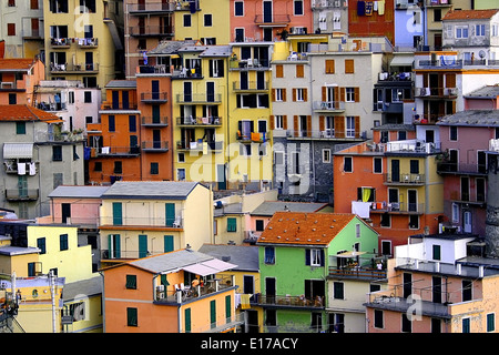 Maisons typiques de la région de Ligurie à Manarola, Cinque Terre, Italie. Banque D'Images