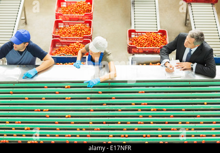 Les tomates de transformation des travailleurs en usine de transformation alimentaire Banque D'Images