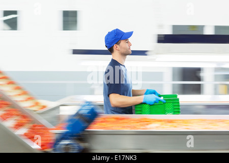 Worker carrying crate en usine de transformation des aliments Banque D'Images