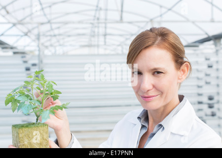 Portrait of smiling scientist with plant in greenhouse Banque D'Images