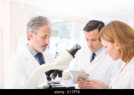 Les scientifiques travaillant dans les laboratoires Banque D'Images