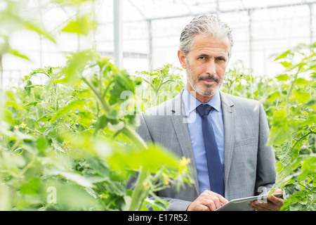 Portrait de propriétaire d'entreprise avec tablette numérique parmi les plants de tomates en serre Banque D'Images