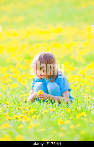 Garçon avec de longs cheveux blonds pissenlits Cueillette dans un champ au printemps Banque D'Images