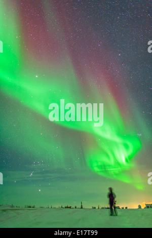 L'Aurora de 3-4 février 2014 vu de Churchill, au Manitoba, au Churchill Northern Studies Centre, Banque D'Images