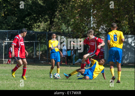 Joueurs de football junior pour attaquer la balle, Cape Town, Afrique du Sud Banque D'Images