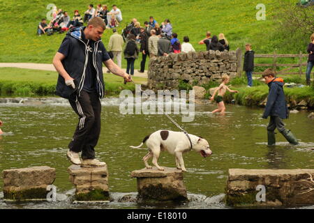 Une famille traverse les jalons de la rivière Dove à Dovedale dans la vallée du collecteur, Peak District, Derbyshire, Angleterre, RU Banque D'Images