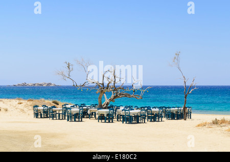 Des tables et des chaises autour d'un arbre mort près de la mer à la plage de Maragas, l'île de Naxos, Cyclades, Grèce Banque D'Images