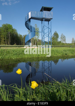 Watchtower Lätti dans Dublin, Irlande, comté de Viljandi, Mai 2014 Banque D'Images