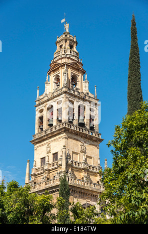 L'Alminar Tower, une fois que le minaret de la Grande Mosquée (La Mezquita), Cordoue, Espagne Banque D'Images