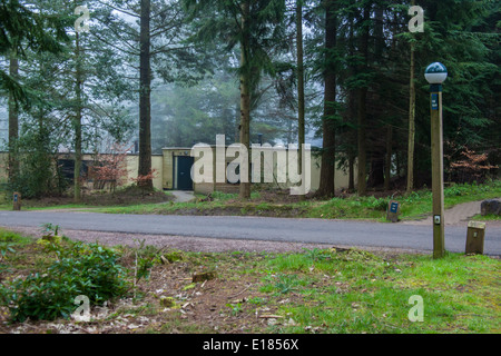 Woodland Lodges at Center Parcs Longleat Forest, Wiltshire, Angleterre, Royaume-Uni. Banque D'Images
