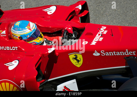 Fernando Alonso, Ferrari Banque D'Images