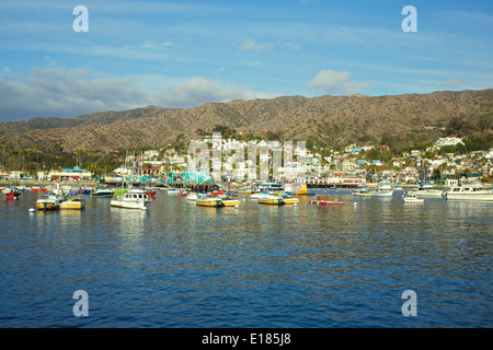 Avalon Bay. L'île de Catalina. Banque D'Images