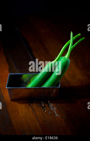 Trois fruits vert [Smooth] luffa luffas Cucurbitaceae en aluminium aluminium rectangles fort sur plancher bois plancher bois Banque D'Images