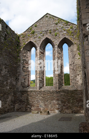 Ruines de l'abbaye cistercienne à Baltinglass, Banque D'Images