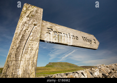 Penyghent dans le Yorkshire Dales, UK, avec un panneau Pennine Way. Banque D'Images